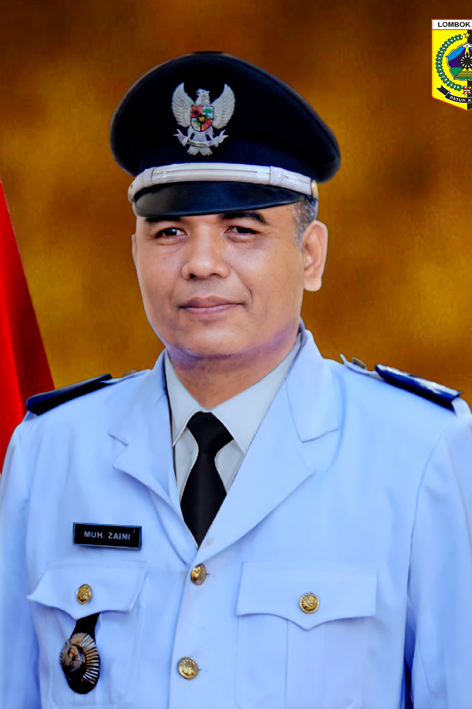 MUHAMMAD ZAINI, SH